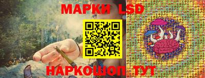 крисы Кунгур