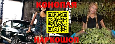 крисы Кунгур