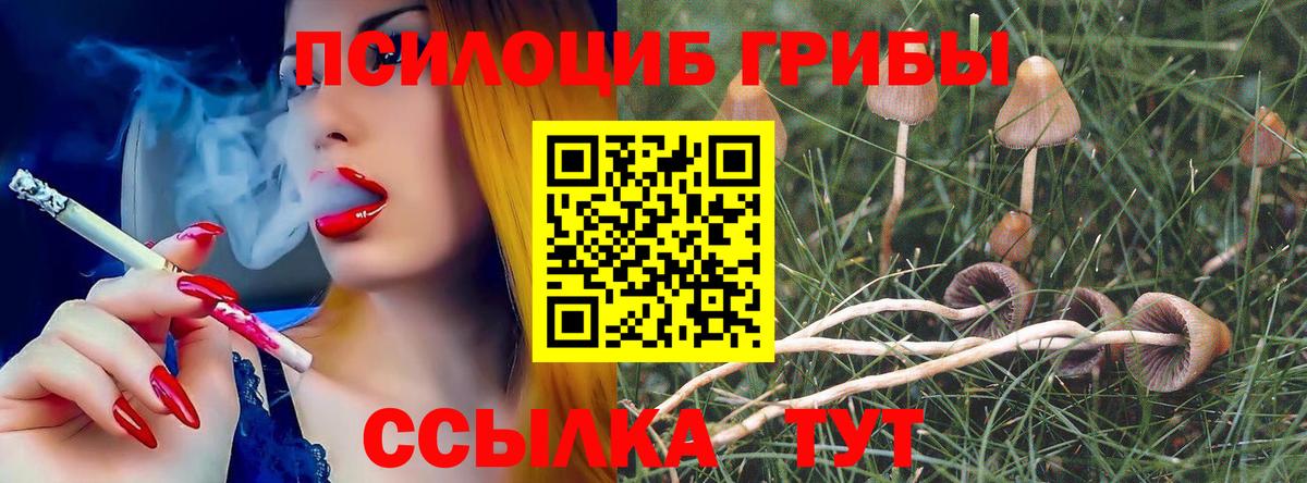 Галлюциногенные грибы GOLDEN TEACHER Кингисепп