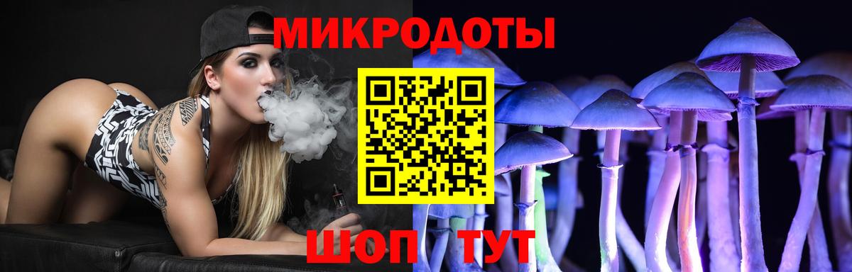 Псилоцибиновые грибы Cubensis  Вход с VPN  что такое   Кингисепп 